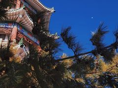 -青岛海滨风景区小鱼山