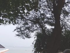 -那琴半岛地质海洋公园