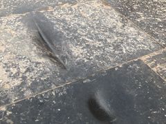 -赵州桥景区