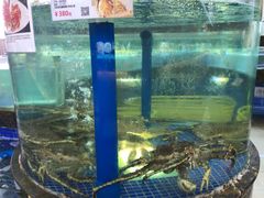 -欢乐海岸美食联盟