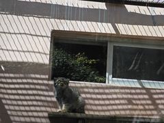 -青藏高原野生动物园