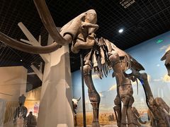 -国家自然博物馆