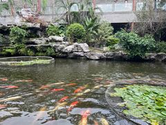 -桃园盛宴·岭南粤菜·手工茶点(南庄店)