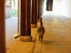 -西园戒幢律寺