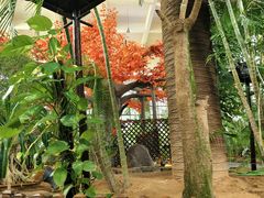 -东方华地城湿地温泉度假区