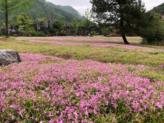 -千岛湖石林