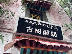 门面-古树酸奶(八廓南街店)