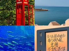 -巧克力渔家.小船海鲜胶东菜(万平口店)