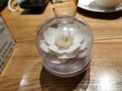 -素行天下(国投财富广场店)