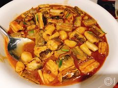 -开海·红岛海鲜虾水饺(石老人店)