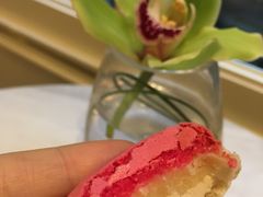 马卡龙-PAUL LAFAYET 法式甜品(港汇广场店)