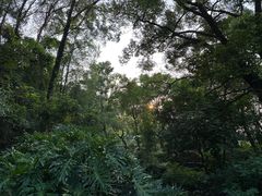 -水濂山森林公园