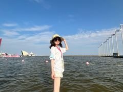 -碧海金沙