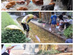 游乐设施-宝墨园景区