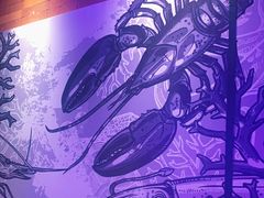 -红盔甲·小龙虾(车公庙店)