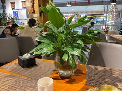 -岗底斯尼泊尔餐厅(万达店)