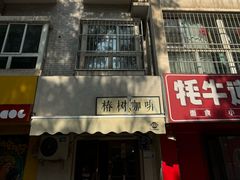 -椿树咖啡