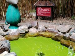 -森波拉火山温泉