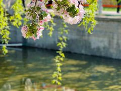 -海棠花溪(元大都城垣遗址公园)