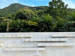 -深圳仙湖植物园