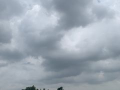 -西青郊野公园