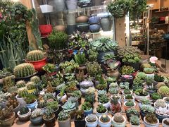-双季花艺园艺市场(浦东店)