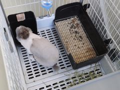 -小意思咖啡店(草桥店)