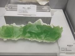 -湖南省地质博物馆