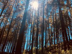 -驼梁风景区