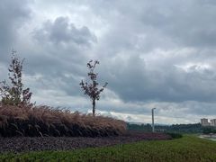 -安宁市宁湖森林公园