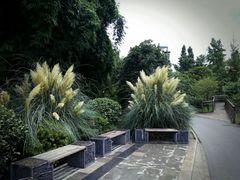 -贵阳市花溪国家城市湿地公园