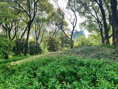 -徐家汇源景区-衡山公园