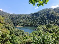 -鼎湖山风景区