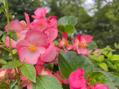 -上海吴淞炮台湾国家湿地公园