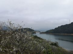 -广州市流溪河国家森林公园
