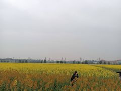 -中国天府农业博览园