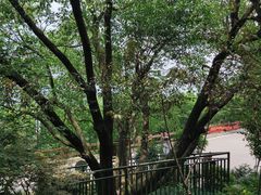 -杭州半山国家森林公园