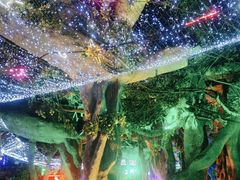 -横店影视城梦幻谷园区