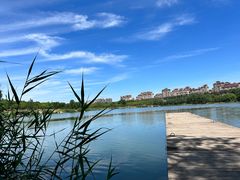 -马家湾湿地公园
