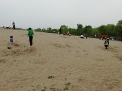 -东郊湿地公园
