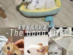 -御宝贝24h宠物医院·转诊中心·CT核磁血透中心(厦门总院)