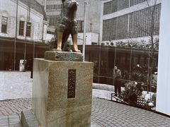 -涩谷全向十字路口