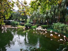 -九龙公园