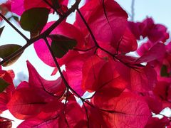 -有红鸡毛店·川菜(建设路店)