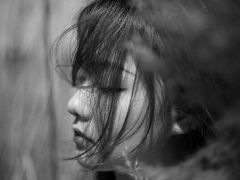 -蒲河岛湿地公园