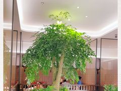 -眉州东坡(大悦城店)