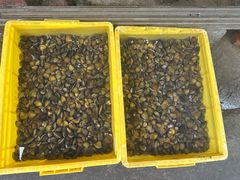 -红旗山庄(圭峰山店)