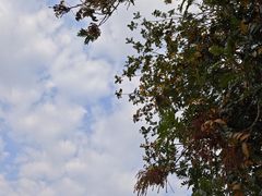 -德宏芒市国际机场