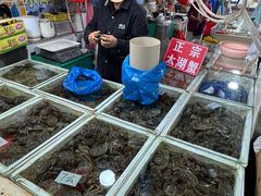-新农都水产市场