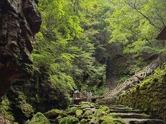 -五女峰国家森林公园